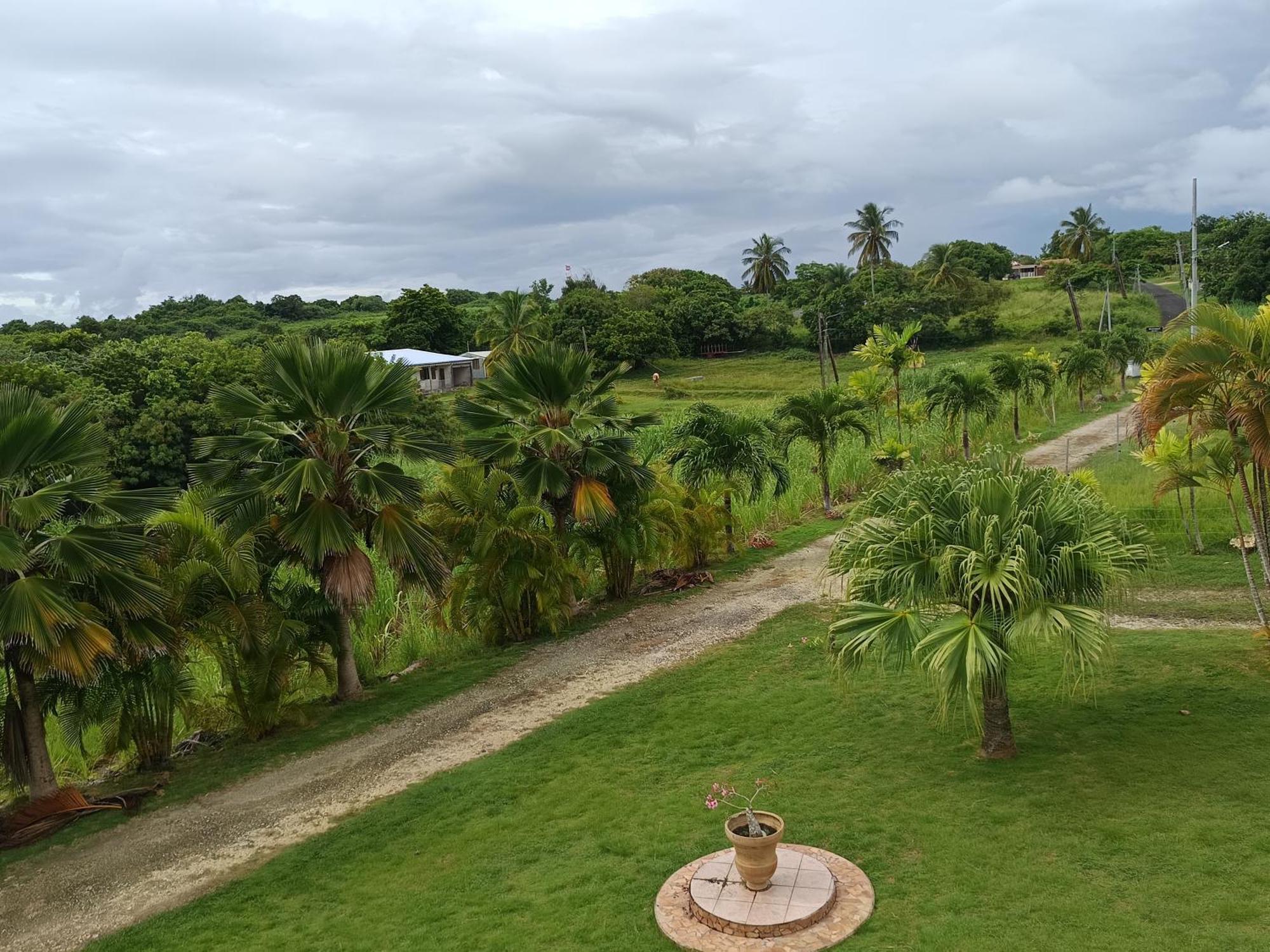 L'Aseta Paradise Grand-Bourg  Esterno foto